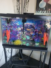 Tetra colorfusion aquarium for sale  Richmond
