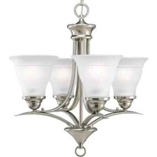 Trinity light brushed for sale  Hickory