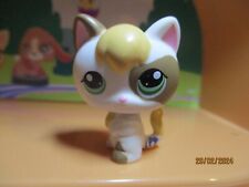 Petshop chaton 1461 d'occasion  Saint-Omer