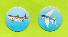 Pogs poissons volant d'occasion  Nancy-
