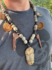 Antique necklace fossils for sale  Libertyville
