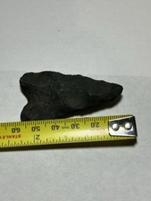 Fine transitional paleo for sale  Jackson
