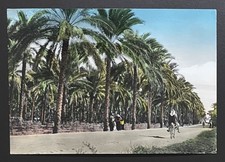 palm pilot pda d'occasion palm pilot pda d'occasion  Vénissieux