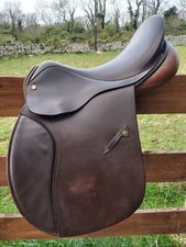 Jefferies falcon hawk for sale  CARNFORTH