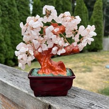 Feng shui natural for sale  Puyallup