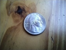 Monnaie amérique nord d'occasion  Divion