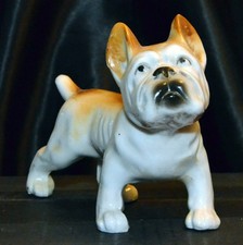 bulldog frenchbulldog french for sale bulldog frenchbulldog french for sale Fort Worth