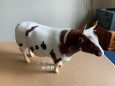 Beswick ayrshire bull for sale  MELTON MOWBRAY