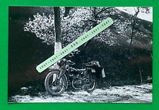 Found 4x6 photo for sale  Torrance