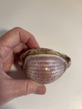 Carved cowrie tiger for sale  Streator