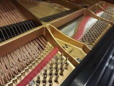 Remarkable steinway sons for sale  Brooklyn