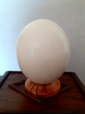 Ancien oeuf autruche d'occasion  Boulzicourt