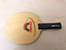 Holz tibhar anatomisch gebraucht kaufen Holz tibhar anatomisch gebraucht kaufen  Saarbrücken