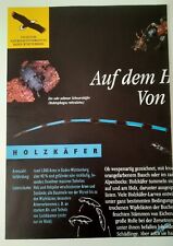 Poster format käfer gebraucht kaufen  Oldenburg in Holstein