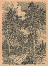 Litho karl kranke gebraucht kaufen  Berlin