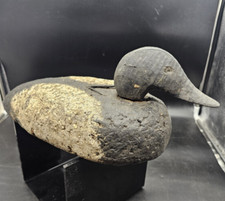 Canvasback drake decoy for sale  Lakeland