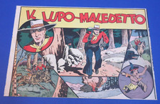 Albi urra lupo usato  Carraia