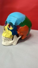 Human colored head for sale  OAKHAM