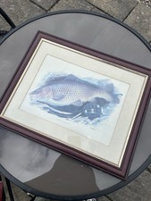 Carp fishing print for sale  FORFAR