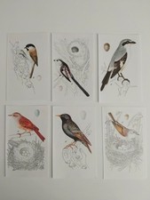 Bird prints set for sale  BIRKENHEAD