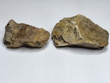 Genuine rare sauropod for sale Genuine rare sauropod for sale  SOLIHULL