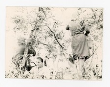 Mario giacomelli italy for sale  New York