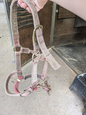 Red dually head for sale  HIGHBRIDGE