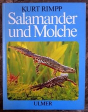 Salamander molche schwanzlurch gebraucht kaufen  Pilsach