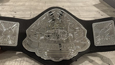 Pride fighting championship for sale  Trussville