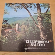 Guida turistica vallombrosa usato Guida turistica vallombrosa usato  Castelfranco di Sotto