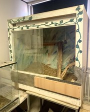 Xxl holz terrarium gebraucht kaufen  Langen
