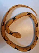 Gummischlange reptilien kriech gebraucht kaufen Gummischlange reptilien kriech gebraucht kaufen  Sontra