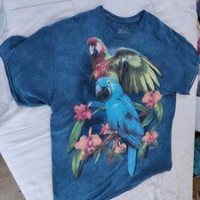 blue parrot for sale blue parrot for sale West Sacramento