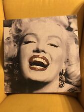 Marylin monroe ritratto usato  Langhirano