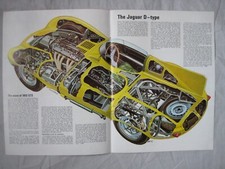 Jaguar type cutaway for sale  DARWEN