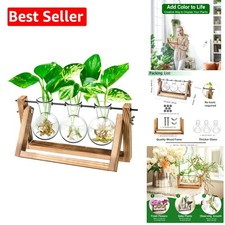 glass vases indoor plants for sale glass vases indoor plants for sale West Hartford
