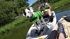 128t ascend fishing for sale  Lakeland