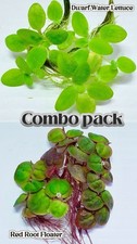 Buy2get1free floating plant for sale  Garden Grove