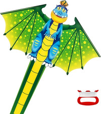 Drachen drachen kinder gebraucht kaufen  Ganderkesee