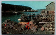 Postcard typical fishing for sale  Bloomington