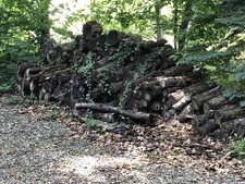 cord hardwood for sale cord hardwood for sale Rochester