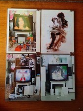 Bjork björk dvd usato  Asti