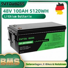48v 100ah lifepo4 gebraucht kaufen 48v 100ah lifepo4 gebraucht kaufen  Euskirchen