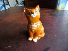 Chat persan ginger d'occasion  France