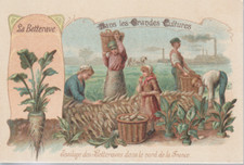 Chromo large cultures d'occasion  Expédié en Belgium
