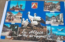 Cpsm alsace pays d'occasion  Quetigny