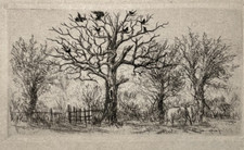 Arbres jean frelaut d'occasion  Pluvigner