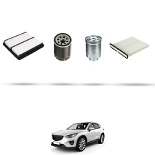Hoffcar kit tagliando usato  Italia