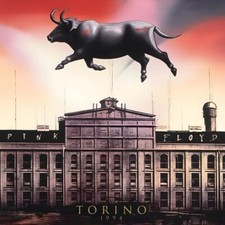 Pink floyd torino usato  Castellabate