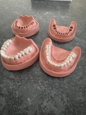 Kavo zahnmodelle gebraucht kaufen  Rostock